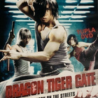 Dragon Tiger Gate - (2 DVD) - pikkukuva 1