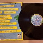 Dropkick Murphys – 11 Short Stories of Pain & Glory LP - pikkukuva 3