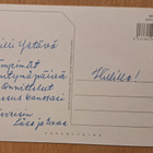 sireenipensas kukkii, foto Kris, käsipostia - pikkukuva 2