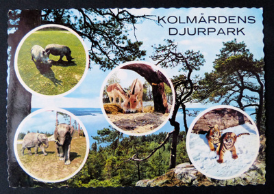 KOLMÅRDENS DJURPARK