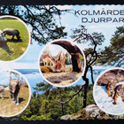 KOLMÅRDENS DJURPARK - pikkukuva 1
