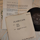 Flash Cats EP - pikkukuva 2