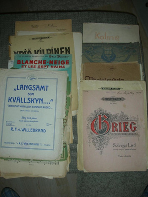Erä nuotteja