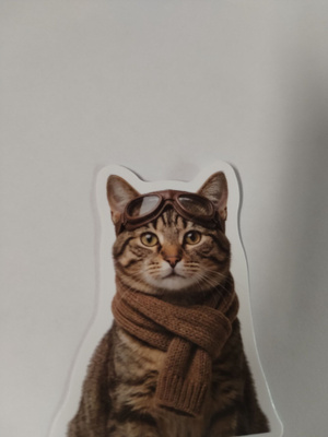 Kissa tarra.
