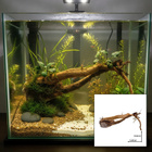 Uniikki akvaariojuurakko 40 cm | 105 - pikkukuva 1