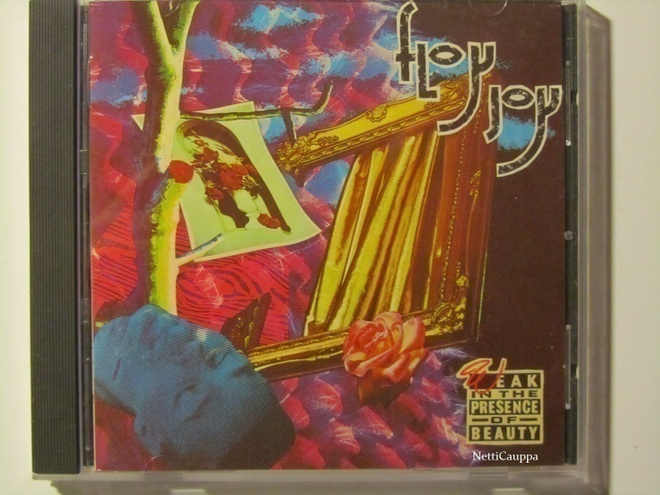 Floy Joy • Weak In The Presence Of Beauty CD