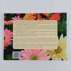 Helen Dafter : Floral Interpretations for Silk Ribbon - pikkukuva 2
