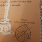 Kunniakirja vuodelta 1976 - pikkukuva 2