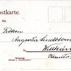 Vanha postikortti-linnut ja hedelmät - pikkukuva 2