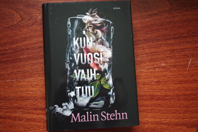 Malin Stehn: Kun vuosi vaihtuu (2022)
