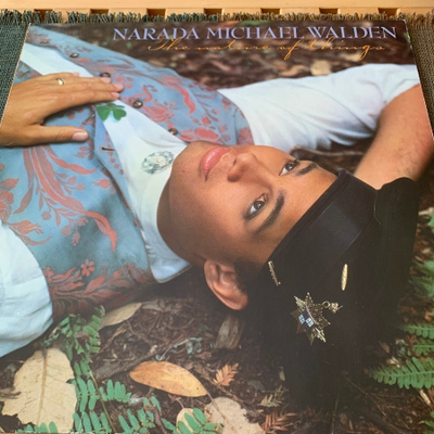 NARADA MICHAEL WALDEN: The Nature of Things * EUR 1985