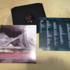 NETHERLANDS - Severance LP - pikkukuva 1