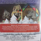 KARVAKUONOT JOULUAKKUNA JOULUKALENTERI DVD - pikkukuva 2