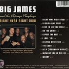Big James & The Chicago Playboys: Right Here Right Now - pikkukuva 2