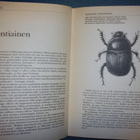 Anto Leikola: Otuksia ja itikoita (1981) Sis.postikulut - pikkukuva 4
