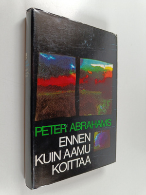 Peter Abrahams : Ennen kuin aamu koittaa