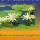 kortti ** Valkoinen kukka valokuvassa - erilaisia - pikkukuva 5