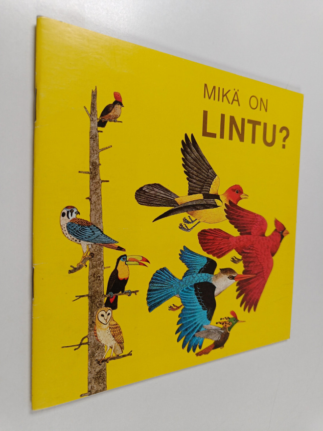 Jenifer W. Day : Mikä on lintu?
