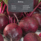 Punajuuri "Betina" - siemenet # - pikkukuva 1