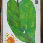 Eric Carle PAKSU TOUKKA PAKSULAINEN - pikkukuva 2