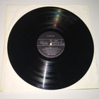 20 SUPER HITS LP 11 083 DELPHIN - pikkukuva 4