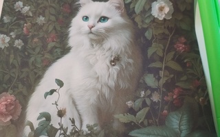 Kissa kuva.