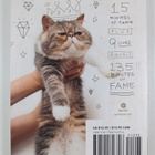 Patricia Carlin : How to make your cat an Internet celebr... - pikkukuva 2
