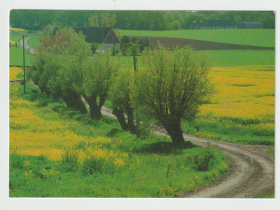 Kjell Wihlborg : SKÅNE  (R)