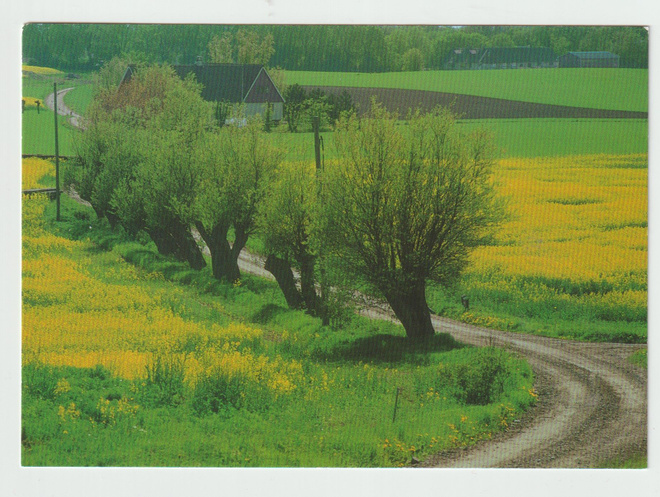 Kjell Wihlborg : SKÅNE  (R)