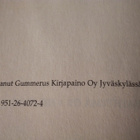 SAKARI NIEMINEN : TYKKITULESSA JA TULENJOHTAJANA - pikkukuva 2