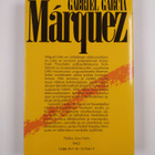 Gabriel Garcia Marquez : Miguel Littinin maanalainen seik... - pikkukuva 2