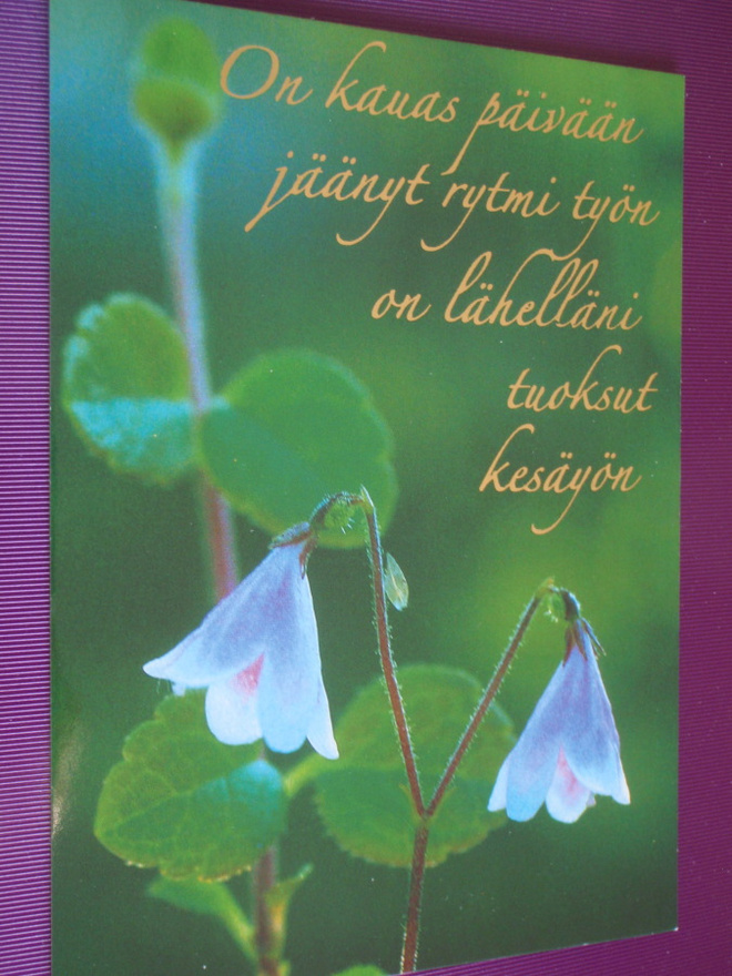 Herkät vanamot ja ajatelma