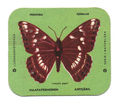 Kahvilappu HAAPAPERHONEN