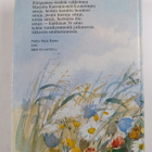 Marjatta Kurenniemi : Pilvipaimen - pikkukuva 2