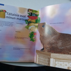 Birmelin: MARSUNI JA MINÄ (2.p.2001) Sis.postikulut - pikkukuva 3
