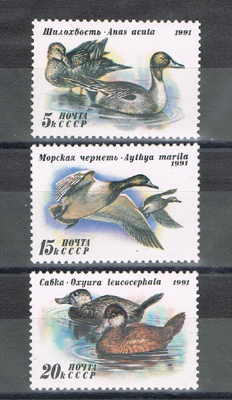 CCCP 1991 - Vesilintuja  ++