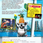 Aivan villit dvd Disney - pikkukuva 2