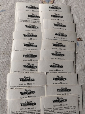 20 kpl panda viidakkokirja
