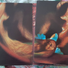 Rick Wakeman: Journey to the Centre of the Earth, UK LP 1974 - pikkukuva 2