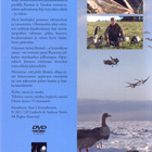Hanhien metsästys kaaveilla DVD *UUSI - pikkukuva 2