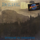 BELIAL - WISDOM OF DARKNESS - GREY SPLATTER FRA 2024 UUSI LP - pikkukuva 1