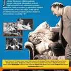 Voi veljet, mikä päivä! [DVD] - pikkukuva 2