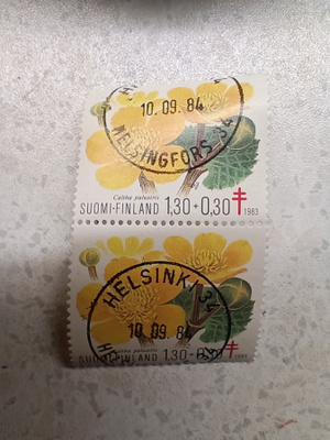 Postimerkki Punainen Risti loistoleima