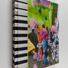 Tricia Guild : A certain style : colour, pattern and spac... - pikkukuva 1