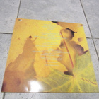 MAMABA - SYKSY : UUDENVEROINEN LP - pikkukuva 2
