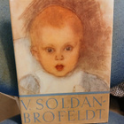 Venny Soldan-Brofeldt ja hänen maailmansa - pikkukuva 1