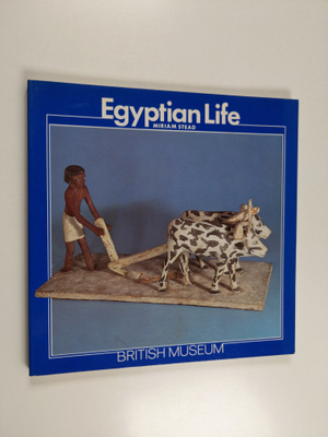 Miriam Stead : Egyptian life