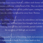 Sarah Perry: Enlightenment - pikkukuva 4