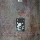 Buffalo Tom - Birdbrain LP 1990 UK Vinyyli - pikkukuva 2