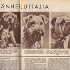 Seura n:o 40 1959 Kaunis nainen kautta aikain. - pikkukuva 5